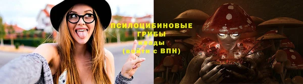 стаф Покровск