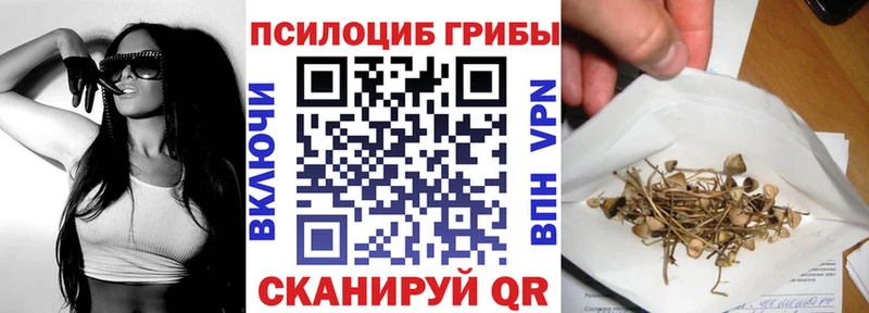 shop какой сайт  Рошаль  Псилоцибиновые грибы мицелий 